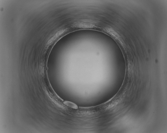 X0000062850533200601131352