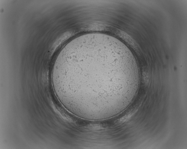 X0000062850534200601131352