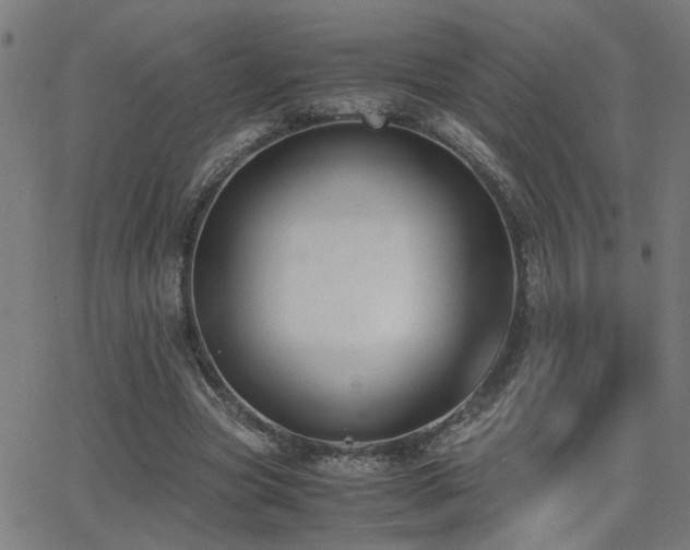 X0000062850537200601131352