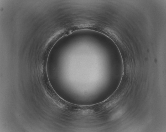 X0000062850539200601131352