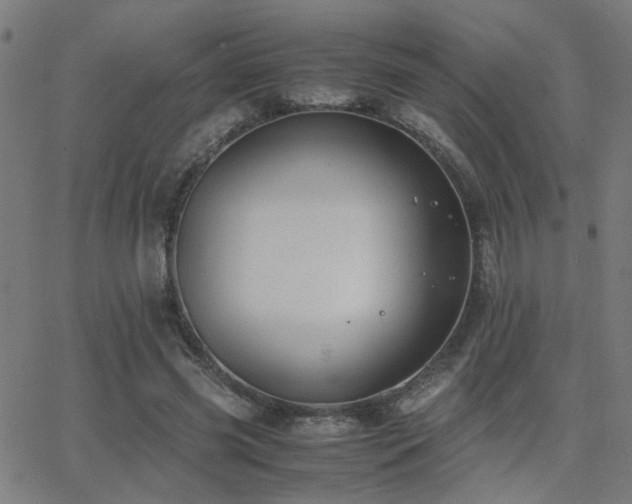 X0000062850541200601131352