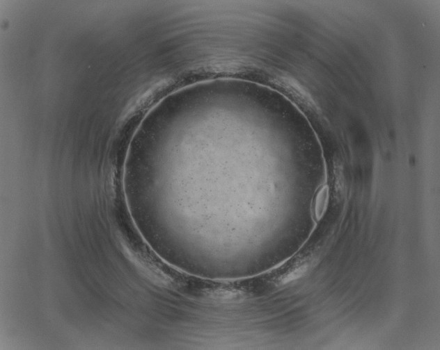 X0000062850542200601131352