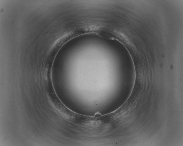 X0000062850543200601131352