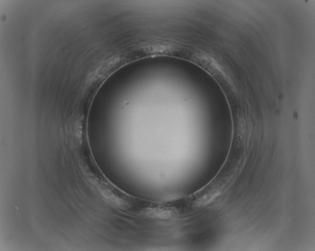 X0000062850545200601131352