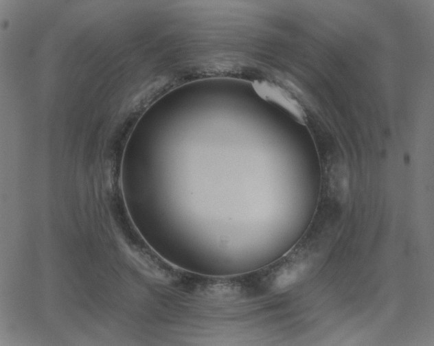 X0000062850546200601131352