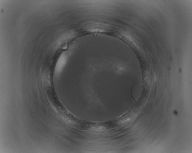 X0000062850547200601131352