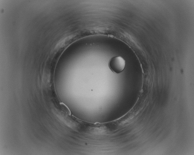 X0000062850548200601131352