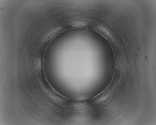 X0000062850549200601131352