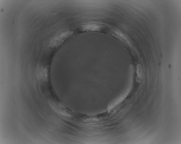 X0000062850551200601131352