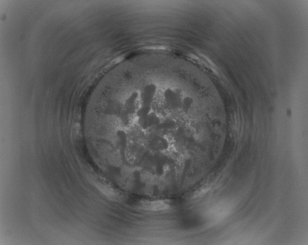 X0000062850553200601131352