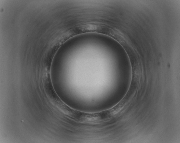 X0000062850555200601131352