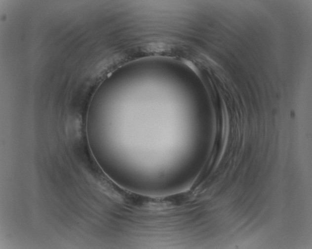 X0000062850556200601131352