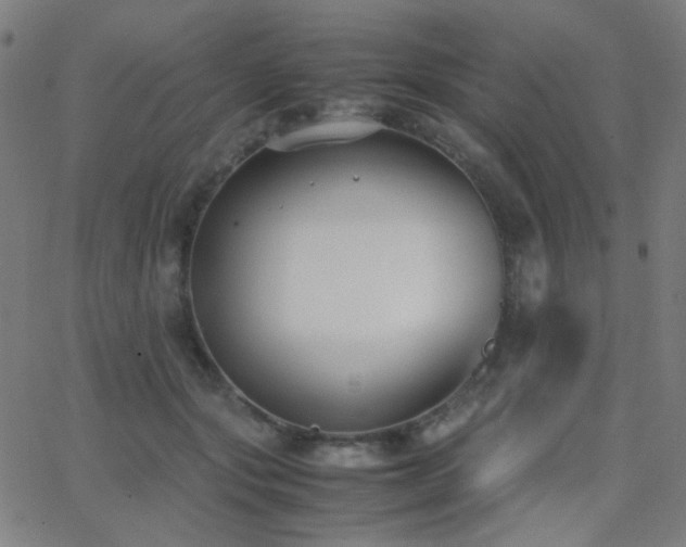 X0000062850557200601131352