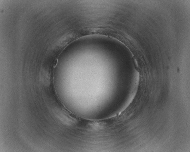 X0000062850558200601131352