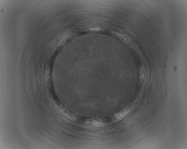 X0000062850559200601131352