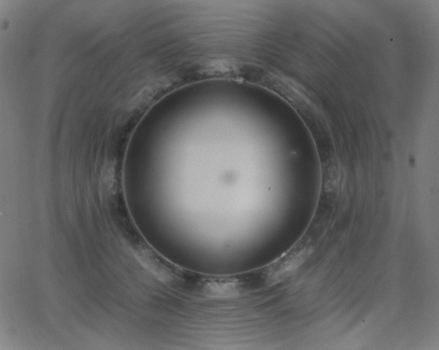 X0000062850560200601131352