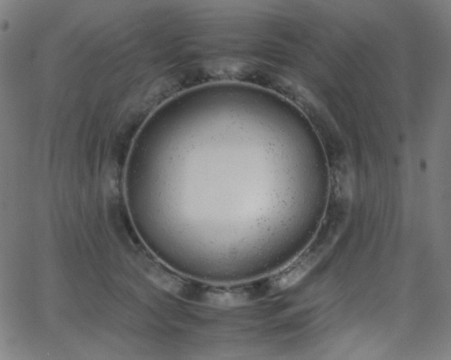 X0000062850561200601131352