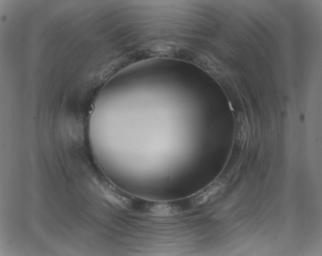 X0000062850562200601131353