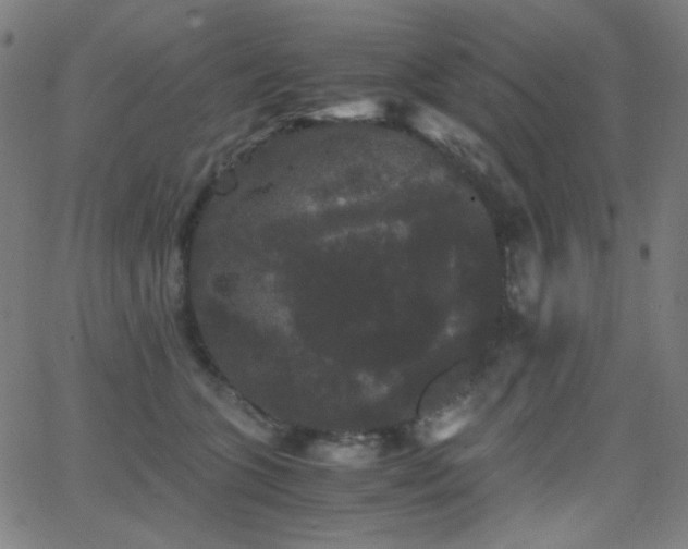 X0000062850563200601131353