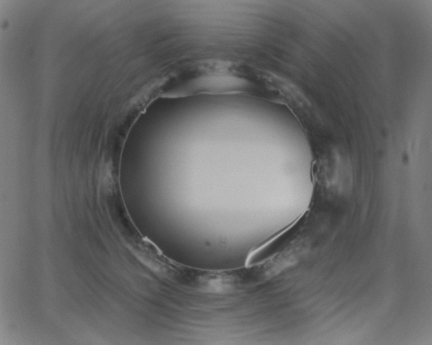 X0000062850564200601131353