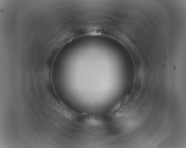 X0000062850565200601131353