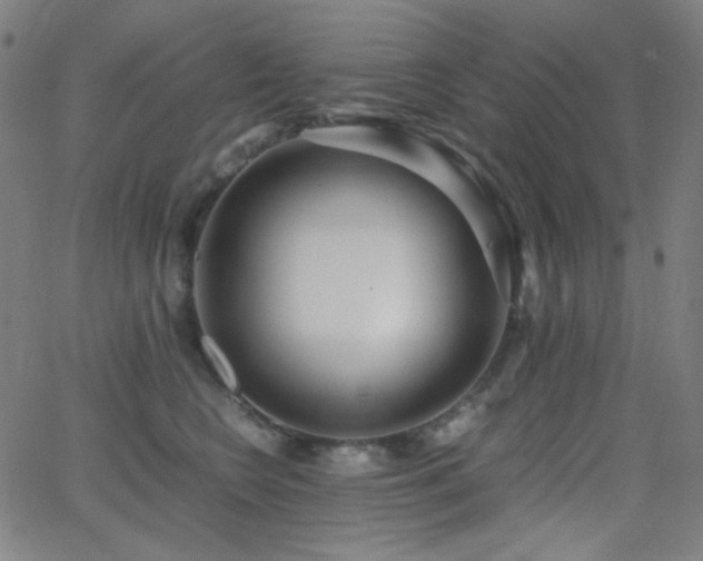 X0000062850566200601131353