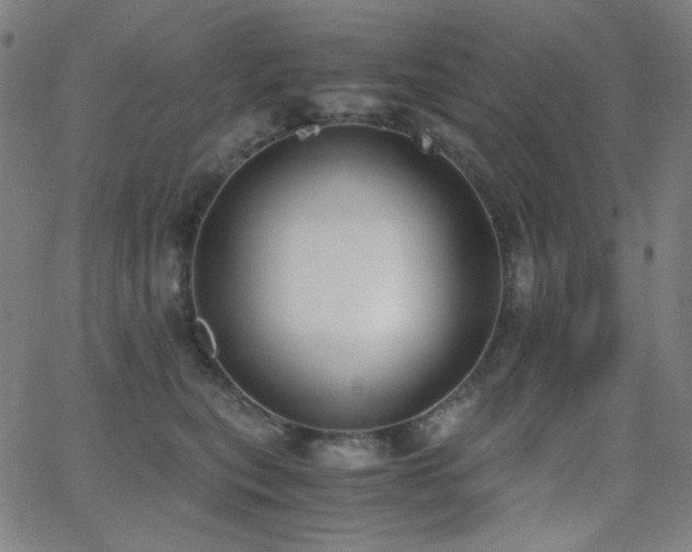 X0000062850567200601131353