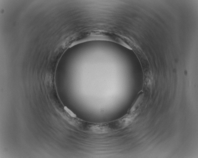 X0000062850568200601131353