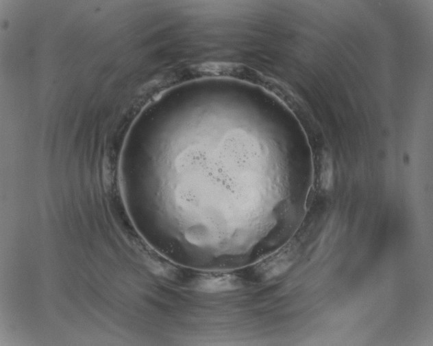 X0000062850569200601131353