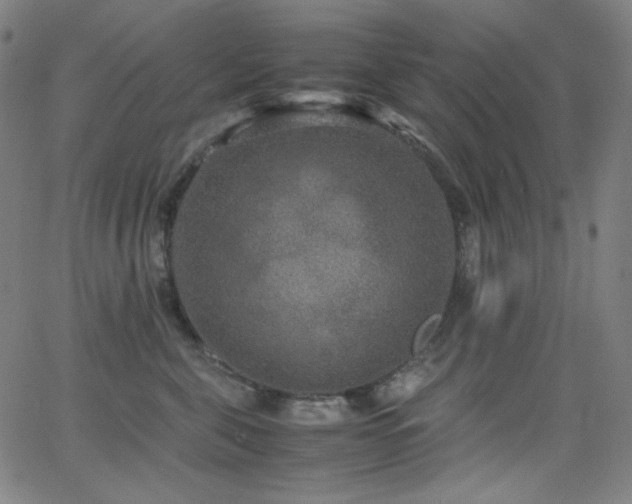 X0000062850571200601131353