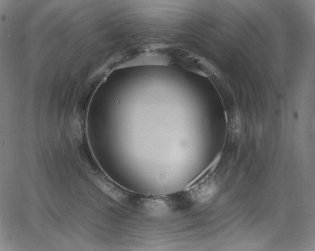 X0000062850572200601131353