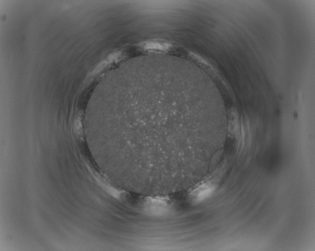 X0000062850573200601131353