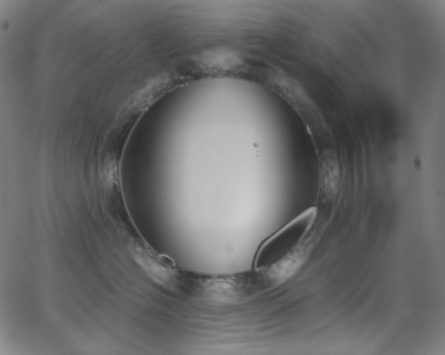 X0000062850574200601131353