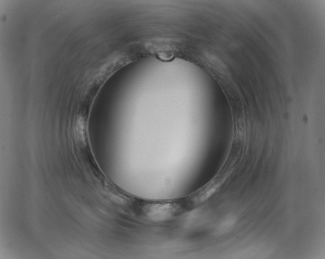 X0000062850575200601131353