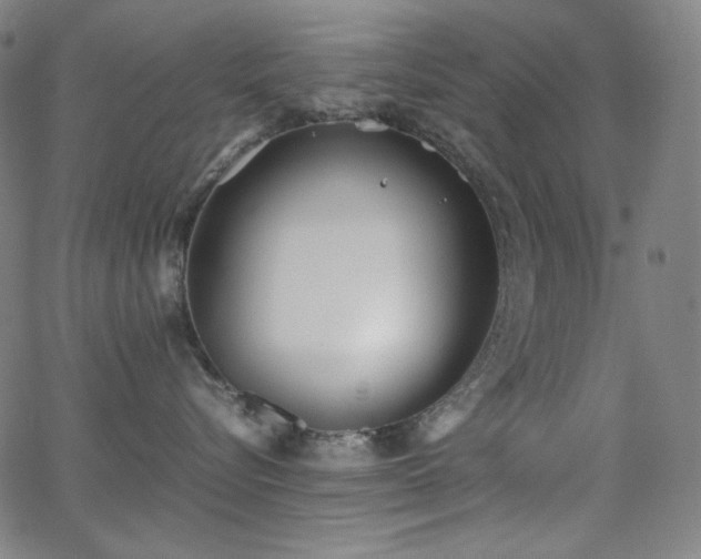 X0000062850576200601131353