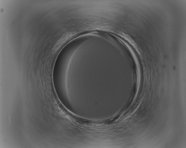 X0000062850577200601131352