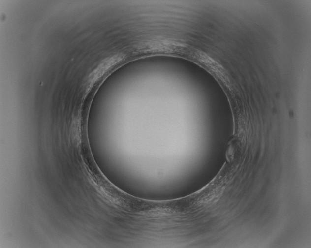 X0000062850578200601131352