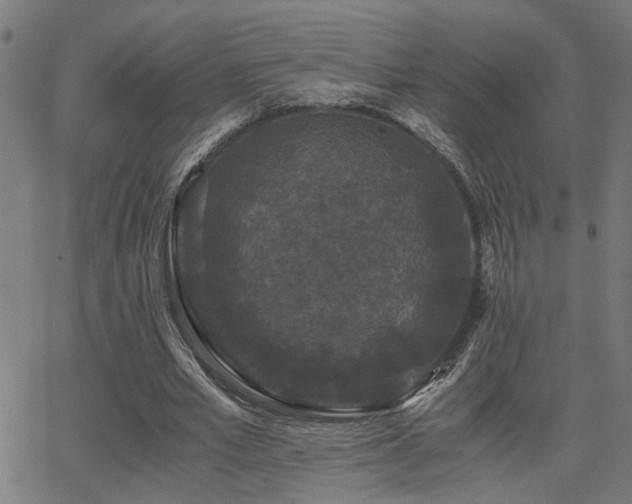 X0000062850581200601131352