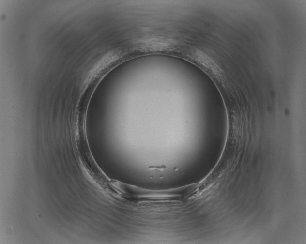 X0000062850582200601131352