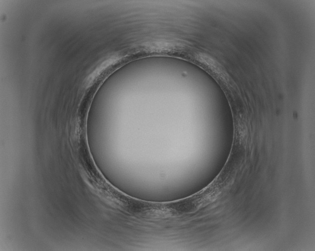 X0000062850583200601131352