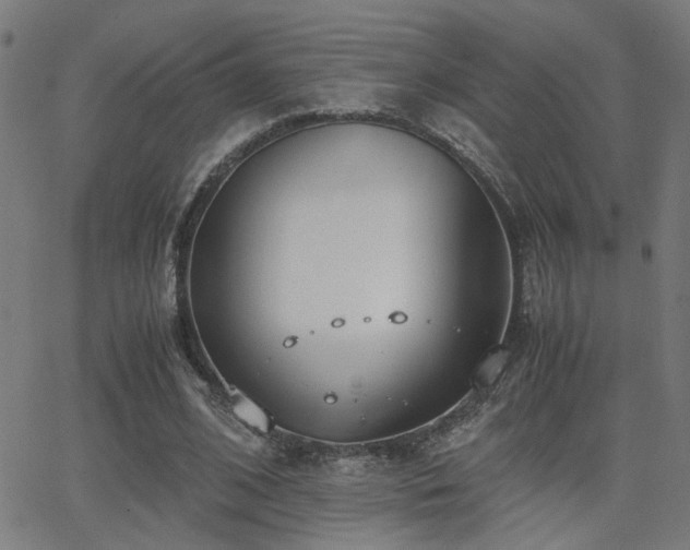 X0000062850584200601131352