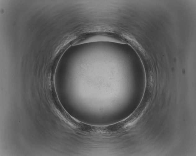 X0000062850585200601131352