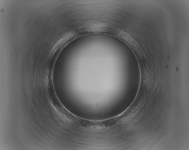 X0000062850586200601131352