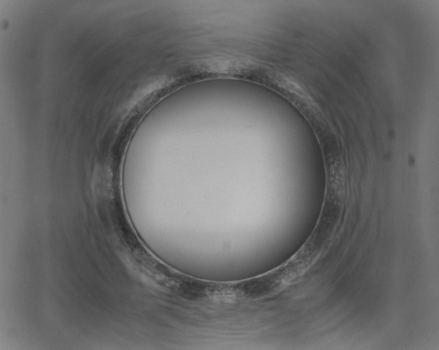 X0000062850587200601131352