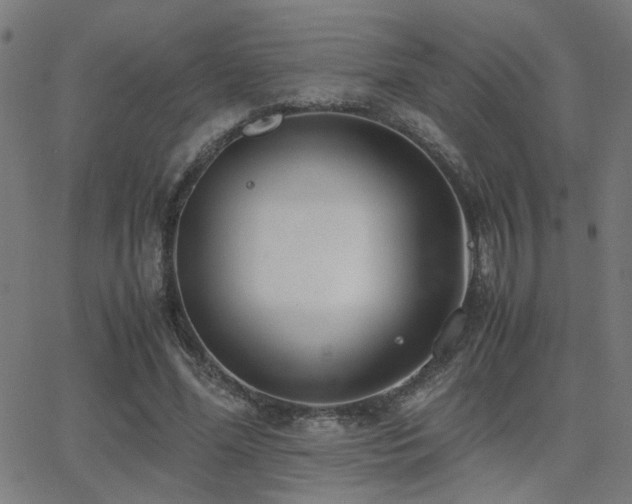 X0000062850588200601131352