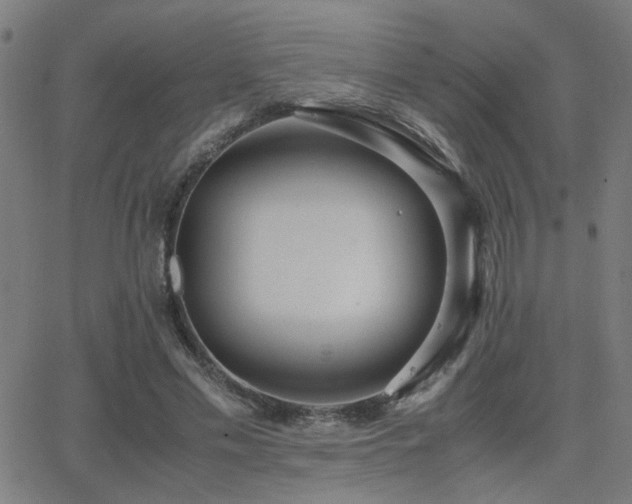 X0000062850589200601131352