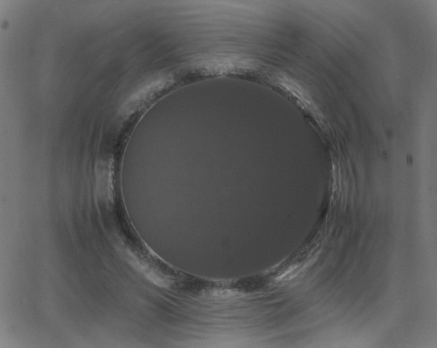 X0000062850590200601131352