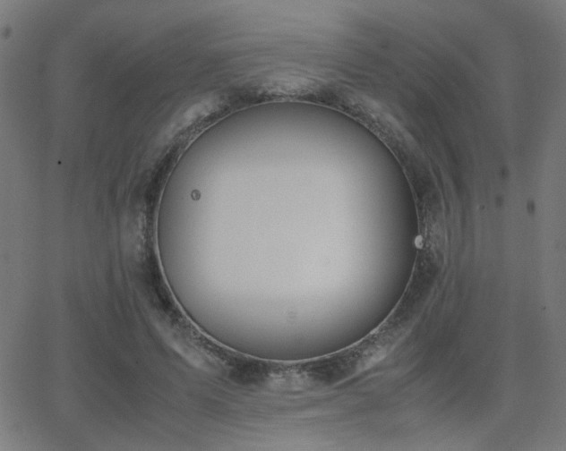 X0000062850591200601131352