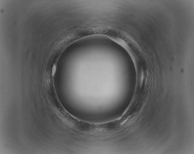 X0000062850593200601131352