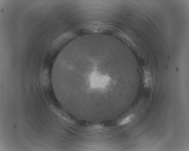 X0000062850594200601131352